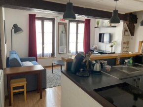 T3 duplex hyper centre ville historique troyes
